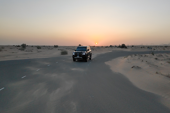 Illustration for this review section